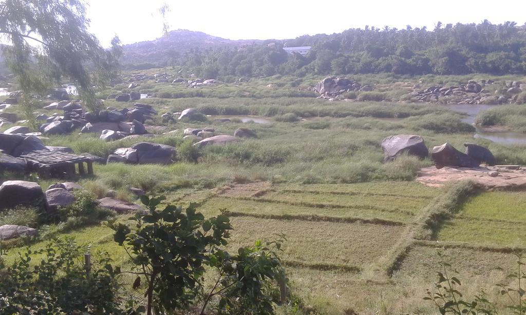 Golden Garden Hampi Exterior photo