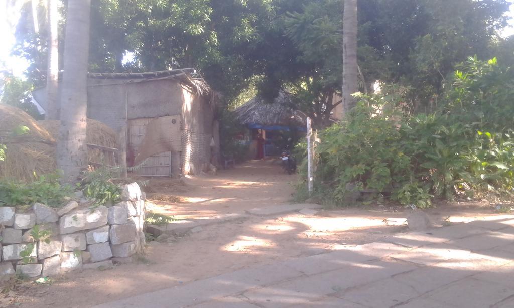 Golden Garden Hampi Exterior photo