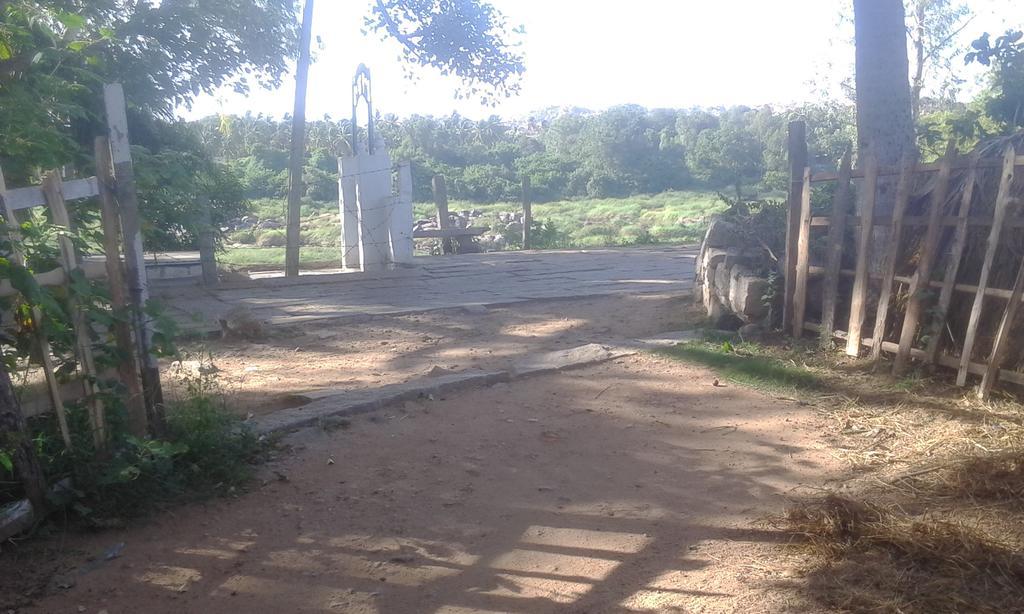 Golden Garden Hampi Exterior photo